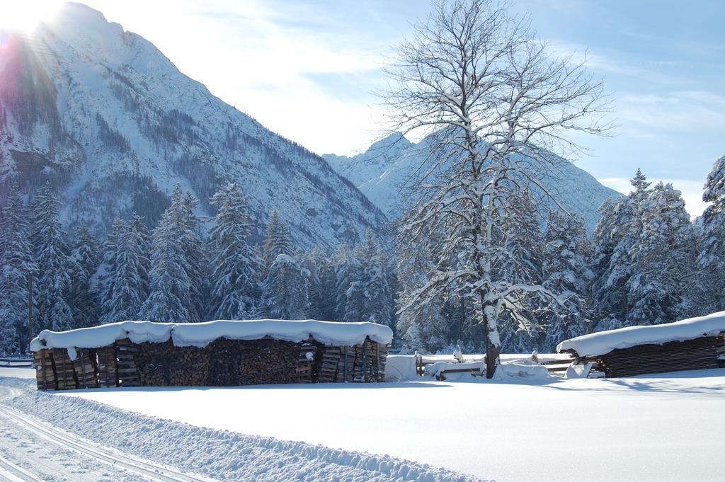 Appartement Haus Waldrast à Elbigenalp Extérieur photo